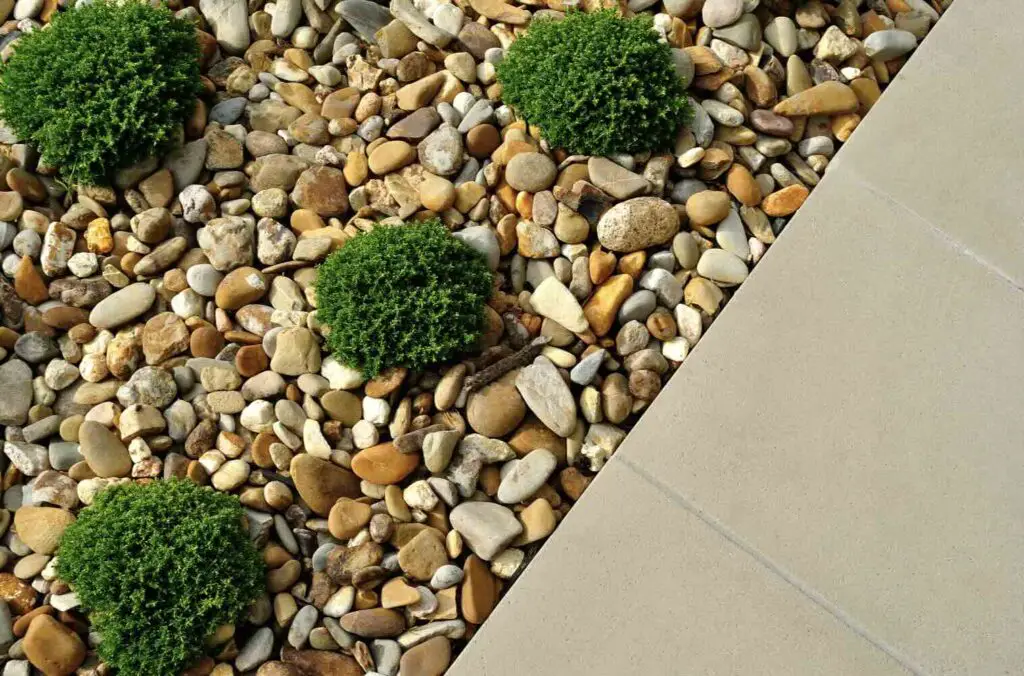 Landscaping Elements In New Home